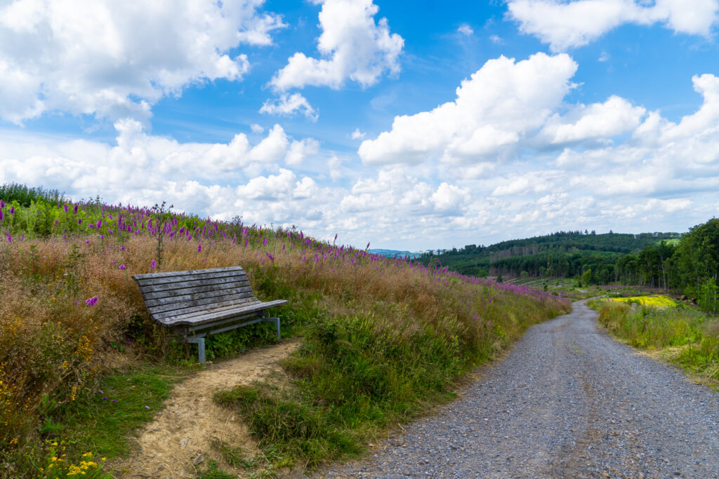 Wanderwege rund um Arnsberg